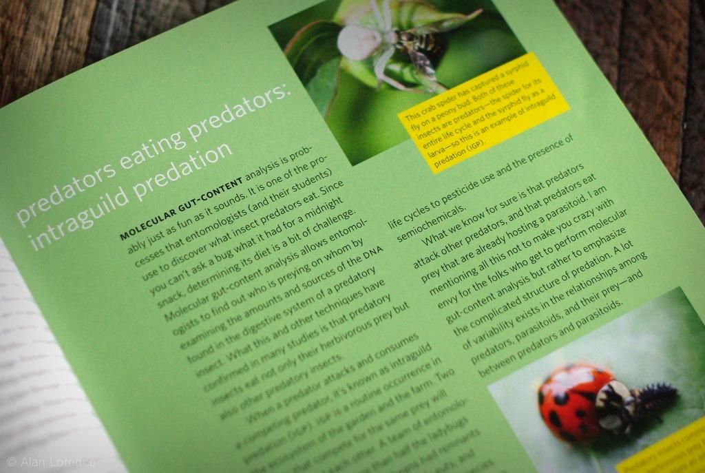 It's Not Work, It's Gardening! Book Review Attracting Beneficial Bugs...